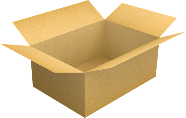otevřená kartonová krabice